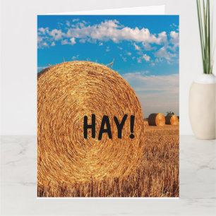 HAY FUNNY PUN HELLO Grußkarten Karte