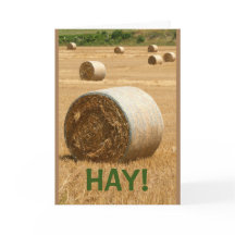 HAY! Gute Arbeit