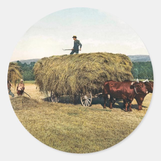 Hay in New England - Vintag 1900 Runder Aufkleber (Vorderseite)