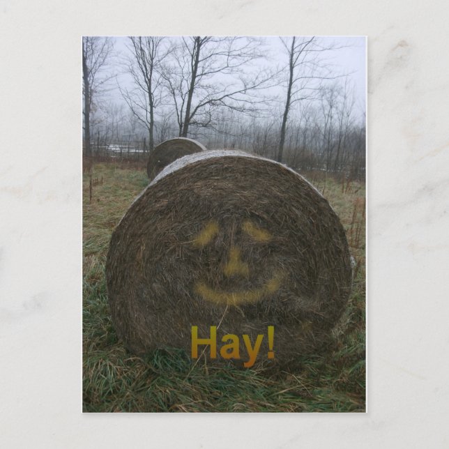 Hay! Postkarte (Vorderseite)