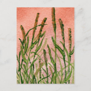 "Hay Someday" Landstraßen Postkarte