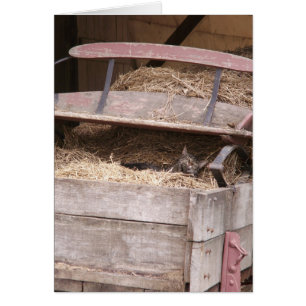 Hay Wagon