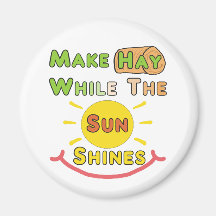 Hay, während die Sonne scheint