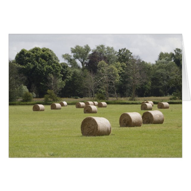 Haybales (Vorderseite (Horizontal))