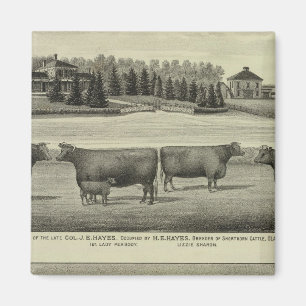 Hayes, Olathe und Ellis Residence and Farm Magnet