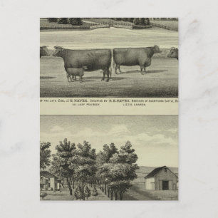 Hayes, Olathe und Ellis Residence and Farm Postkarte
