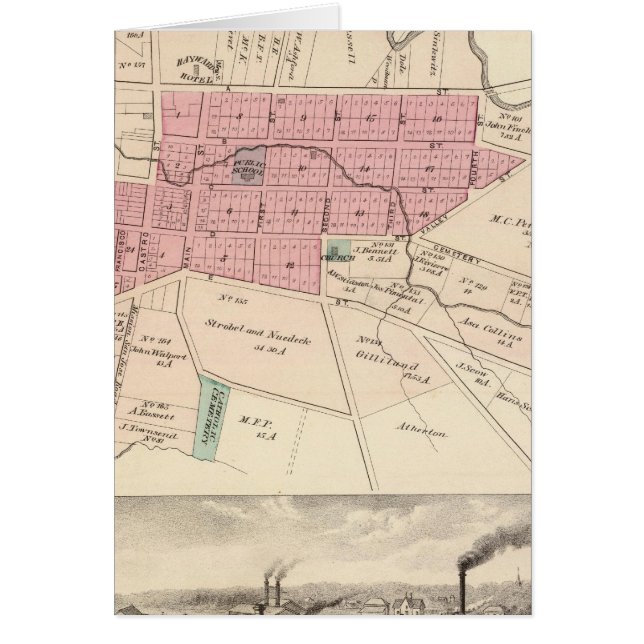 Haywards, Crist-Gerberei (Vorne)