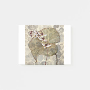 HAZ24 Amazonas-Gebiet 2.tif Post-it Klebezettel