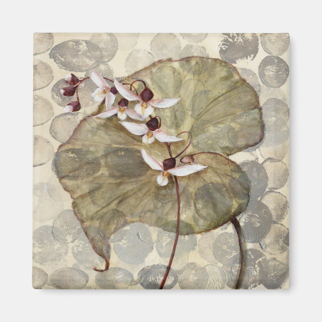 HAZ24 Amazonia 2,tif Magnet (Vorne)