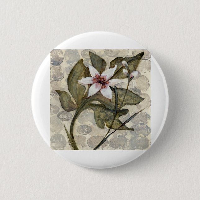 HAZ26 Amazonas-Gebiet 4.tif Button (Vorderseite)