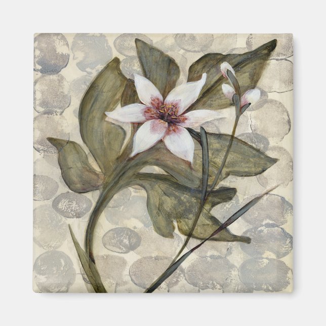 HAZ26 Amazonia 4.tif Magnet (Vorne)