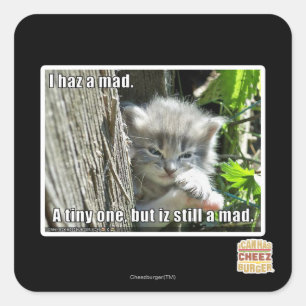 Haz I ein wütendes Quadratischer Aufkleber