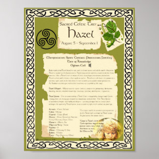 HAZEL CELTIC SACRED TREM POSTER