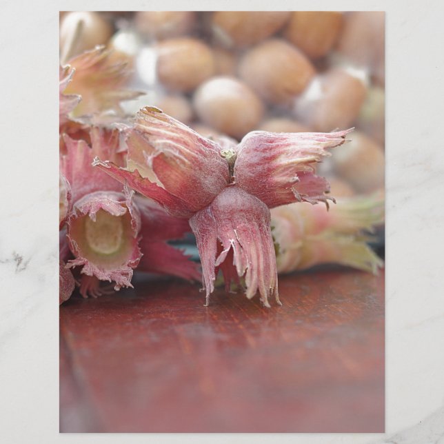 Hazelnuts.JPG (Vorderseite)