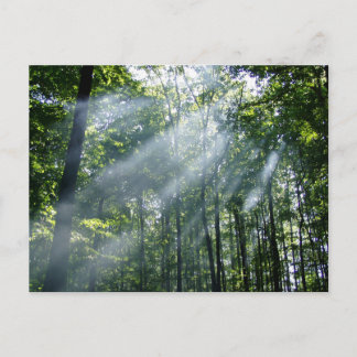 Hazy Tranquility Postkarte