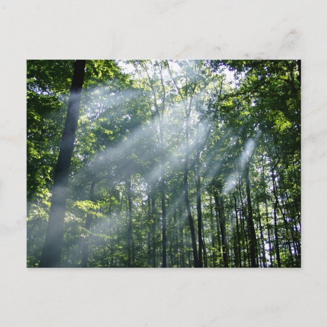 Hazy Tranquility Postkarte (Vorderseite)