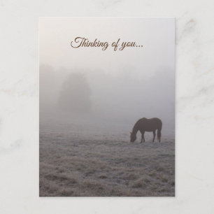 Hazzy Grazing Denken Sie an Ihre Postkarte