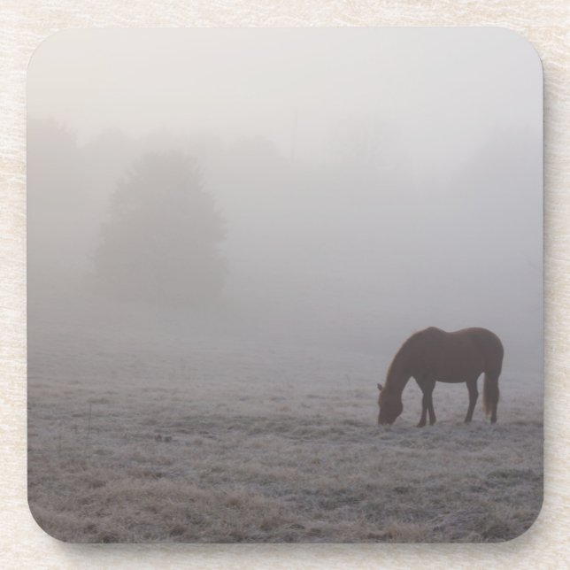 Hazzy Grazing Getränkeuntersetzer (Vorderseite)