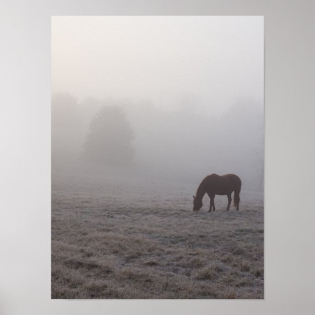 Hazzy Grazing Poster (Vorne)