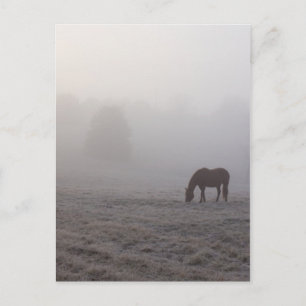 Hazzy Grazing Postkarte
