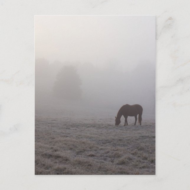 Hazzy Grazing Postkarte (Vorderseite)