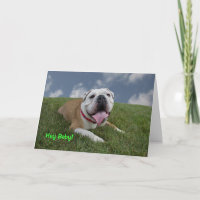 He Baby! Bulldoggen-Geburtstags-Karte