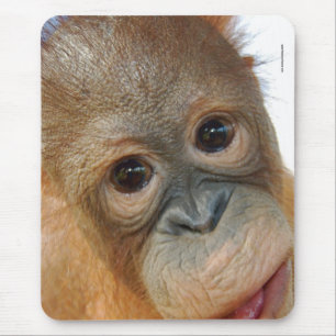 He, bin ich ein niedliches Orang-Utan Foto Mousepad