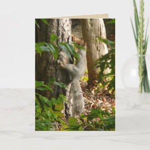 He bin ich Hydin Karte