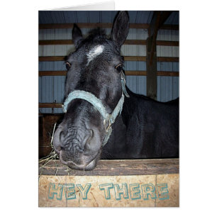 He dort kardieren Sie