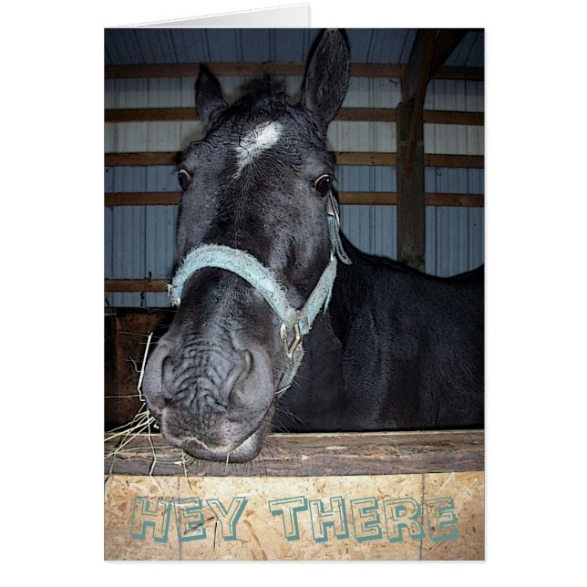 He dort kardieren Sie (Vorne)