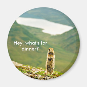 He, ist was für Abendessen? Magnet