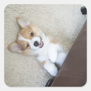 he Mädchen Quadratischer Aufkleber