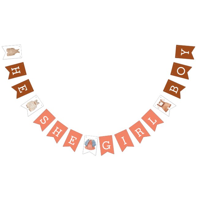 He she Girl Boy Gender Reveal Brown Coral Wimpelkette (Alle)