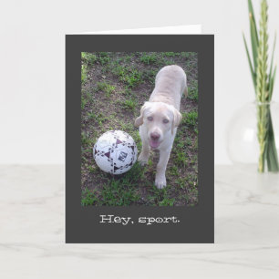 He, Sport. Labrador-Welpen-Anlass-Karte Karte