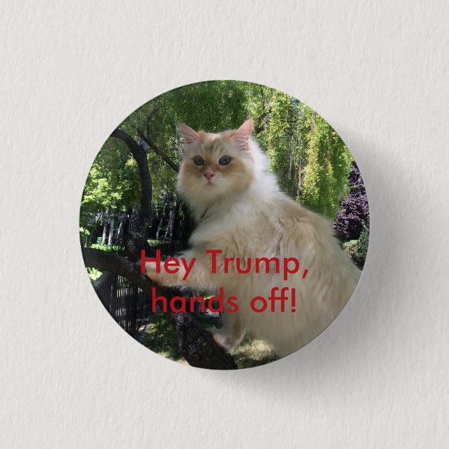 He Trumpf, Hände weg! Button (Vorderseite)