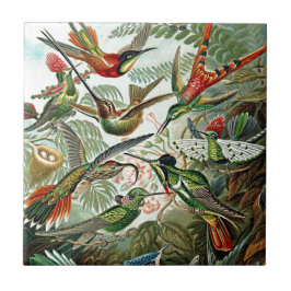 Heackel Nature Art Bird Design Hummingbirds Fliese