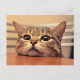 Head on table postkarte