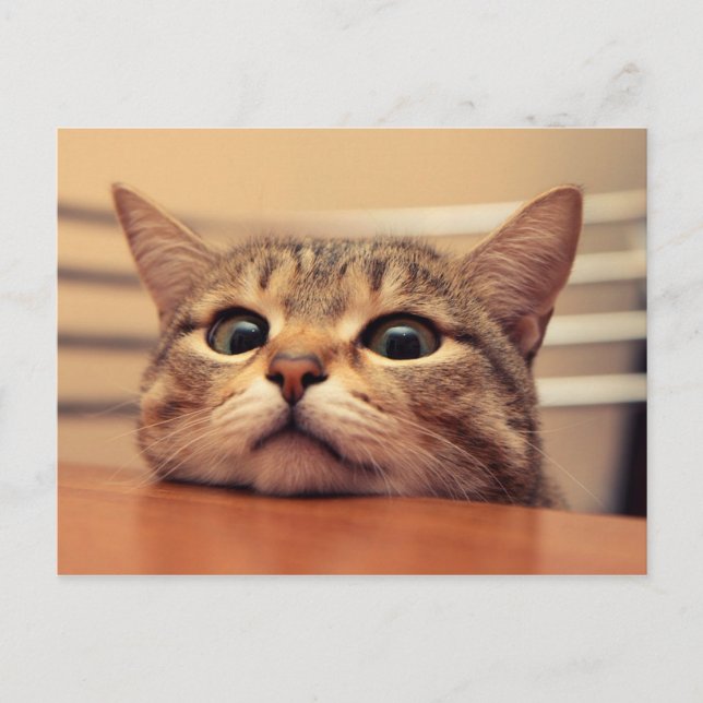 Head on table postkarte (Vorderseite)