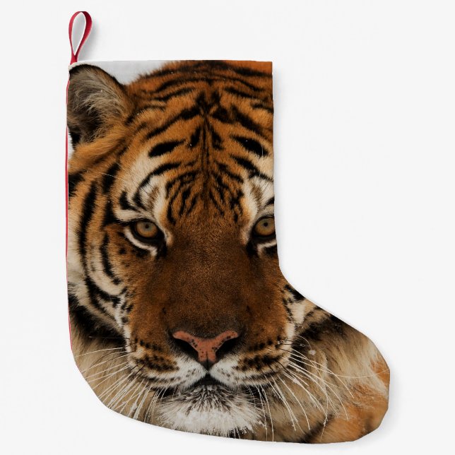 Head Shot of Sibirien Tiger Kleiner Weihnachtsstrumpf (Vorderseite)