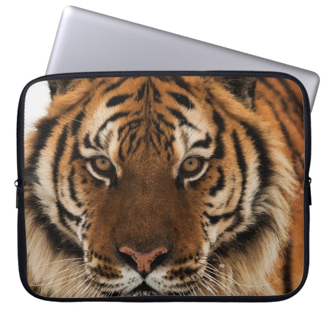 Head Shot of Sibirien Tiger Laptopschutzhülle (Vorderseite)