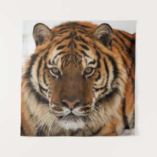 Head Shot of Sibirien Tiger Wandteppich