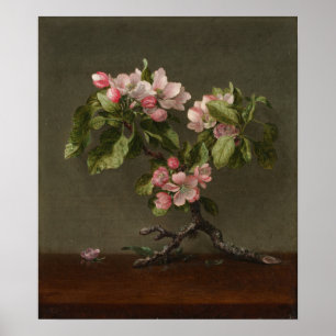 Heade - Apfelblüten Poster