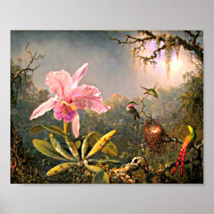 Heade - Cattleya-Orchidee und drei Kolibris Poster