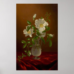 Heade - Cherokee-Rosen in einer Glasvase Poster