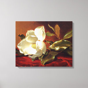Heade - Eine Magnolie auf rotem Samt Leinwanddruck