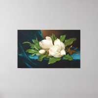 HEADE Giant Magnolias auf einem blauen Samttuch 18