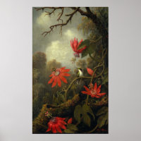 Heade - Hummingbird und Passion-Blume