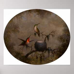 Heade - Kolibris und ihr Nest 1863 Poster