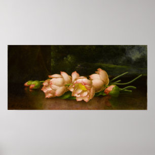Heade - Lotus-Blume Poster