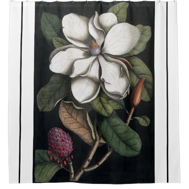 Heade Magnolia Blume Blossom Duschvorhang (Vorderseite)